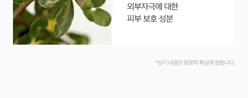 [쿨링/수분] 차앤박 아쿠아 수딩 크림 1+1 기획 상세페이지 13